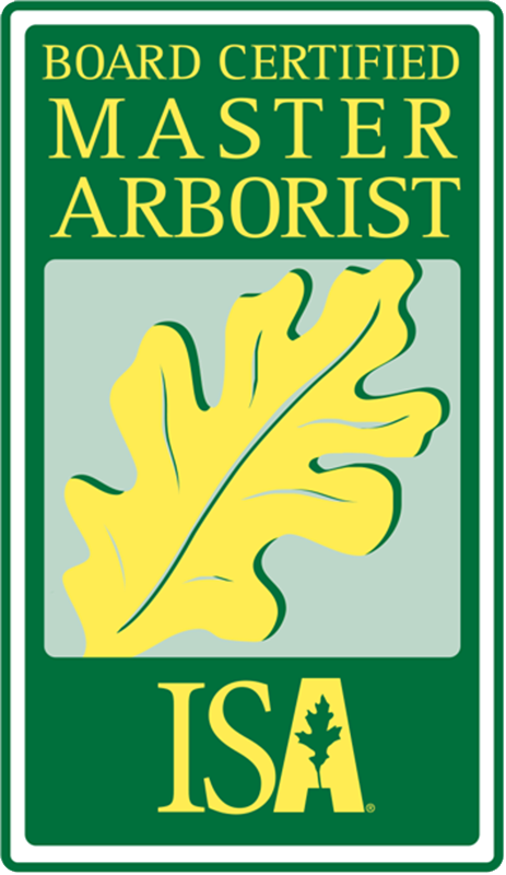 Board certified master arborist