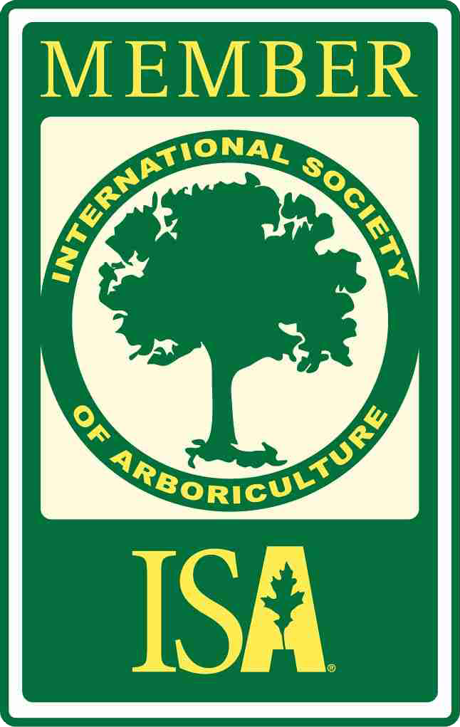 We are a Certified Arborist ISA