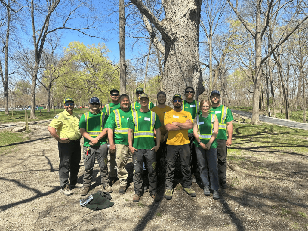 our team of certified arborists